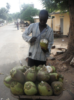 01 Vendeur De Noix De Coco